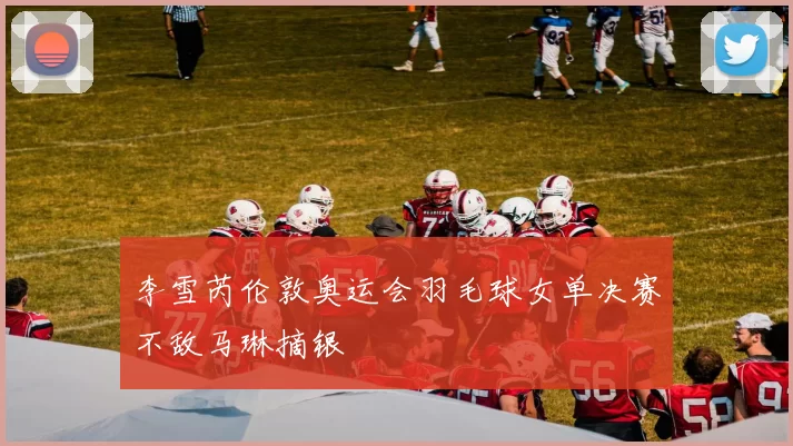 李雪芮伦敦奥运会羽毛球女单决赛不敌马琳摘银